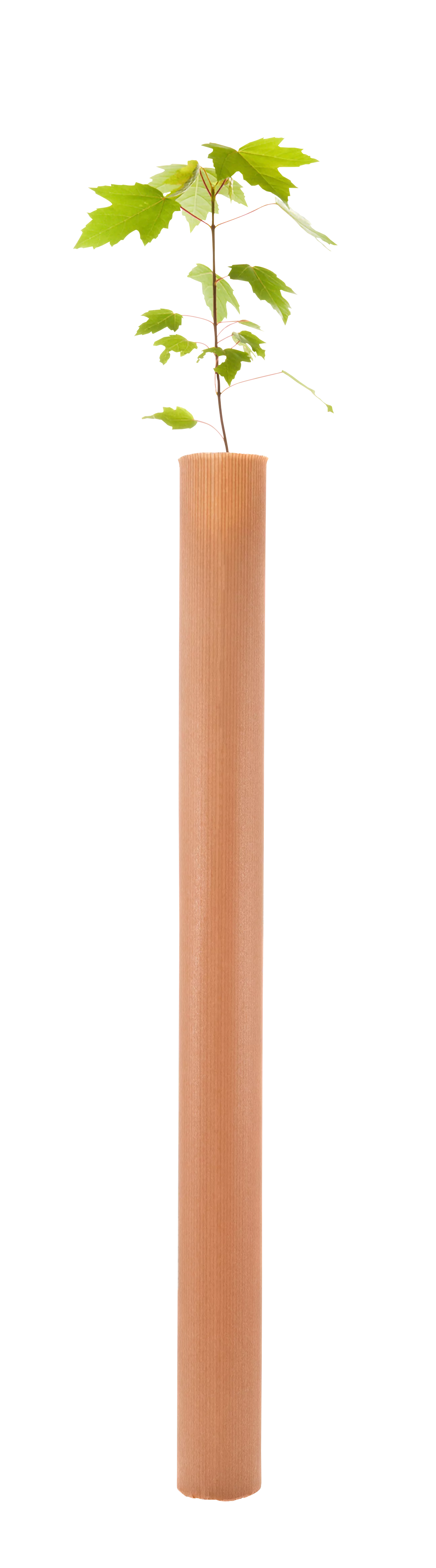 Tubex Nature™ Standard