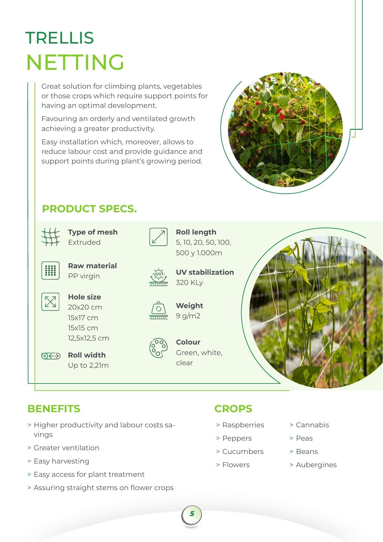 Trellis Netting – Ref. EN 091517